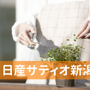 新潟県長岡市の（株）日産サティオ新潟西／長岡本社店へ