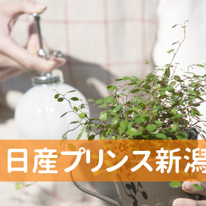 日産プリンス新潟販売（株）／長岡江陽店