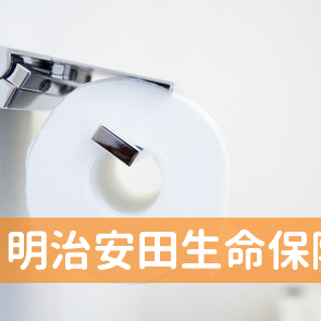 明治安田生命保険(相)名古屋西支社／一宮第一営業所