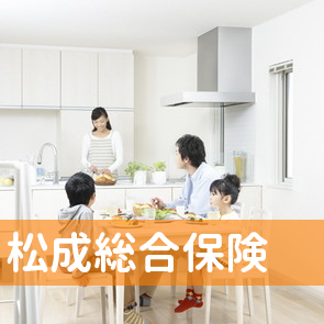 大分県日田市の松成総合保険へ