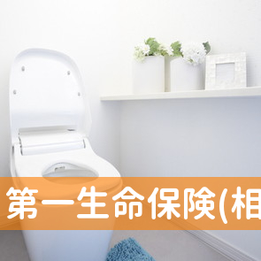 第一生命保険(相)／立川支社／新青梅支部