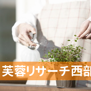 静岡県浜松市中区の（株）芙蓉リサーチ西部地区事務所へ