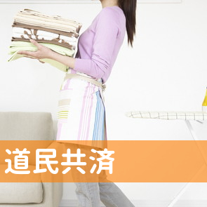道民共済