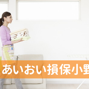 （有）あいおい損保小野保険事務所