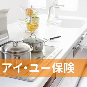 （有）アイ・ユー保険