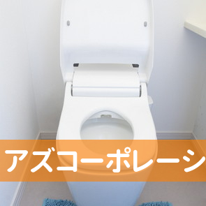 （有）アズコーポレーション