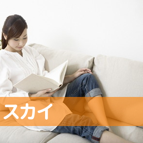 （有）スカイ