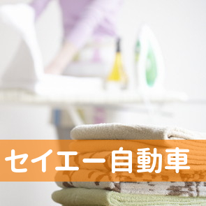（有）セイエー自動車