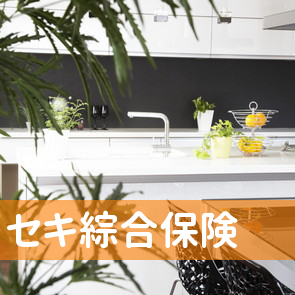 （有）セキ綜合保険