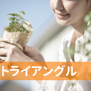 （有）トライアングル