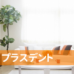 （有）プラスデント