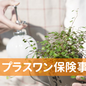 （有）プラスワン保険事務所