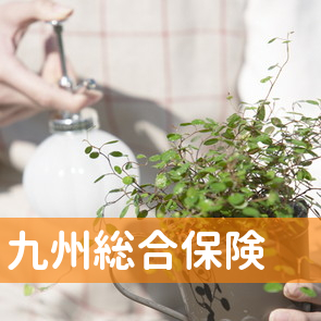 （有）九州総合保険