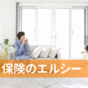 （有）保険のエルシー