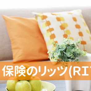 （有）保険のリッツ(ＲＩＴＺ)