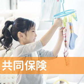 （有）共同保険