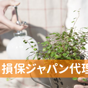 （有）損保ジャパン代理店舟橋保険事務所