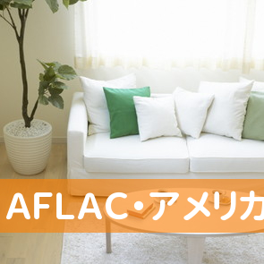 （有）ＡＦＬＡＣ・アメリカンファミリー生命募集代理店コーセープランニング岩見沢連絡所