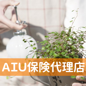 （有）ＡＩＵ保険代理店スターズ