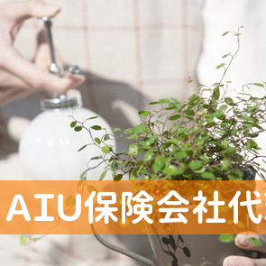 （有）ＡＩＵ保険会社代理店エポック