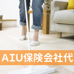 （有）ＡＩＵ保険会社代理店リッツ