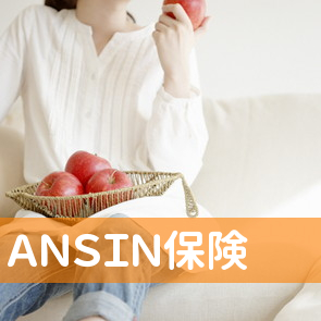 （有）ＡＮＳＩＮ保険