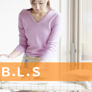 （有）Ｂ．Ｌ．Ｓ