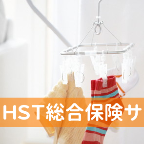 （有）ＨＳＴ総合保険サービス