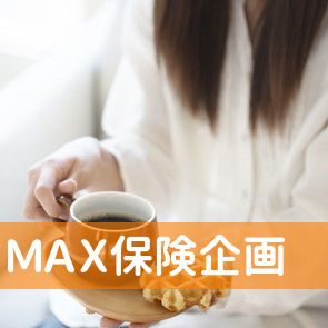 （有）ＭＡＸ保険企画