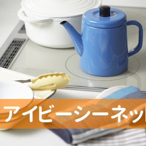 （株）アイビーシーネットワークス