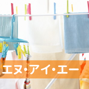 （株）エヌ・アイ・エー