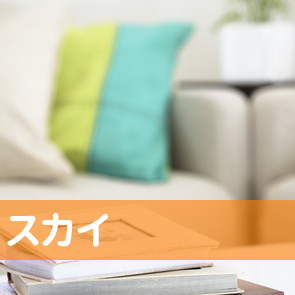 （株）スカイ