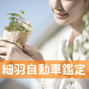 （株）細羽自動車鑑定