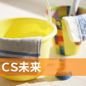 （株）ＣＳ未来