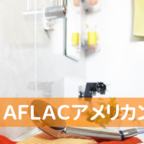 ＡＦＬＡＣアメリカンファミリー生命保険会社代理店（株）ライフクリーン