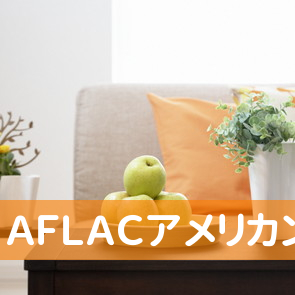 ＡＦＬＡＣアメリカンファミリー生命保険会社藤谷代理店