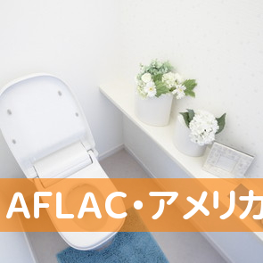 ＡＦＬＡＣ・アメリカンファミリー生命代理店コーヨーコーポレーション（有）