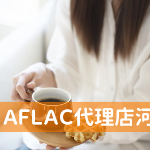 ＡＦＬＡＣ代理店河野貞美