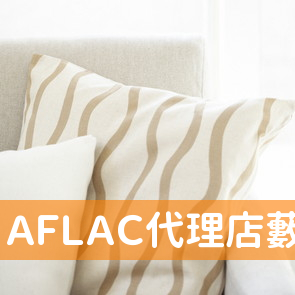 ＡＦＬＡＣ代理店藪内光浩