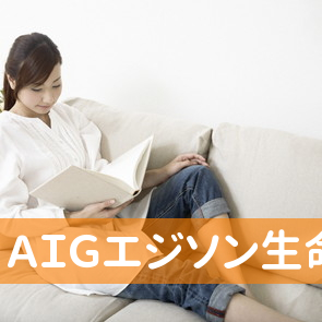 ＡＩＧエジソン生命保険（株）下関営業所