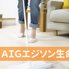 ＡＩＧエジソン生命保険（株）久慈営業所