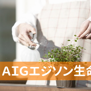 ＡＩＧエジソン生命保険（株）伊勢営業所