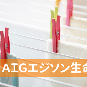 ＡＩＧエジソン生命保険（株）佐原営業所