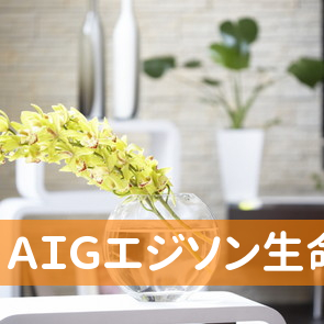 ＡＩＧエジソン生命保険（株）八王子営業所