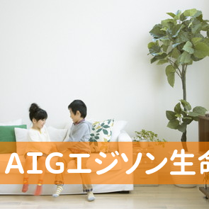 ＡＩＧエジソン生命保険（株）四日市エイジェンシーオフィス