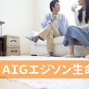 ＡＩＧエジソン生命保険（株）大曲営業所