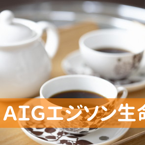 ＡＩＧエジソン生命保険（株）天童営業所