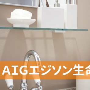 ＡＩＧエジソン生命保険（株）山陰フィールドサービスオフィス