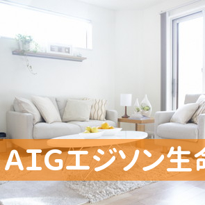 ＡＩＧエジソン生命保険（株）岐阜フィールドサービスオフィス