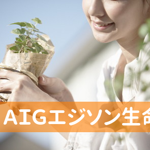 ＡＩＧエジソン生命保険（株）明石営業所